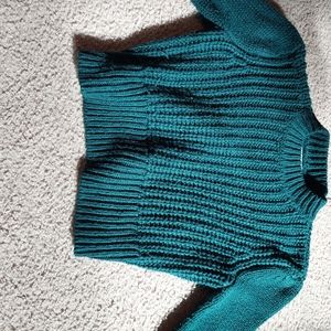 Green nitted turtle neck